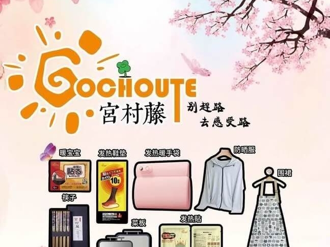 大连艾佳优品与您相约2024第十三届全球新电商博览会